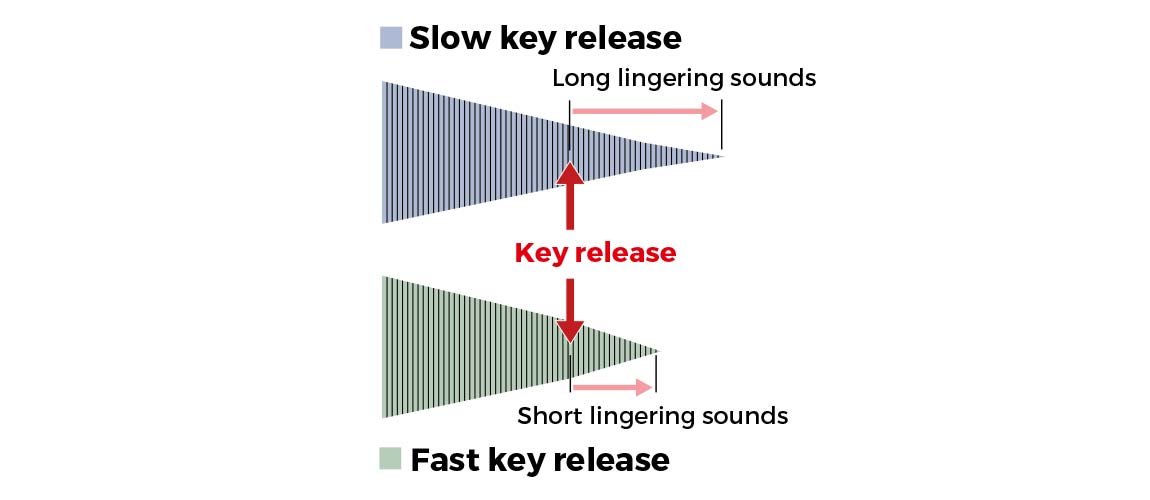 Casio Key Release Simulator
