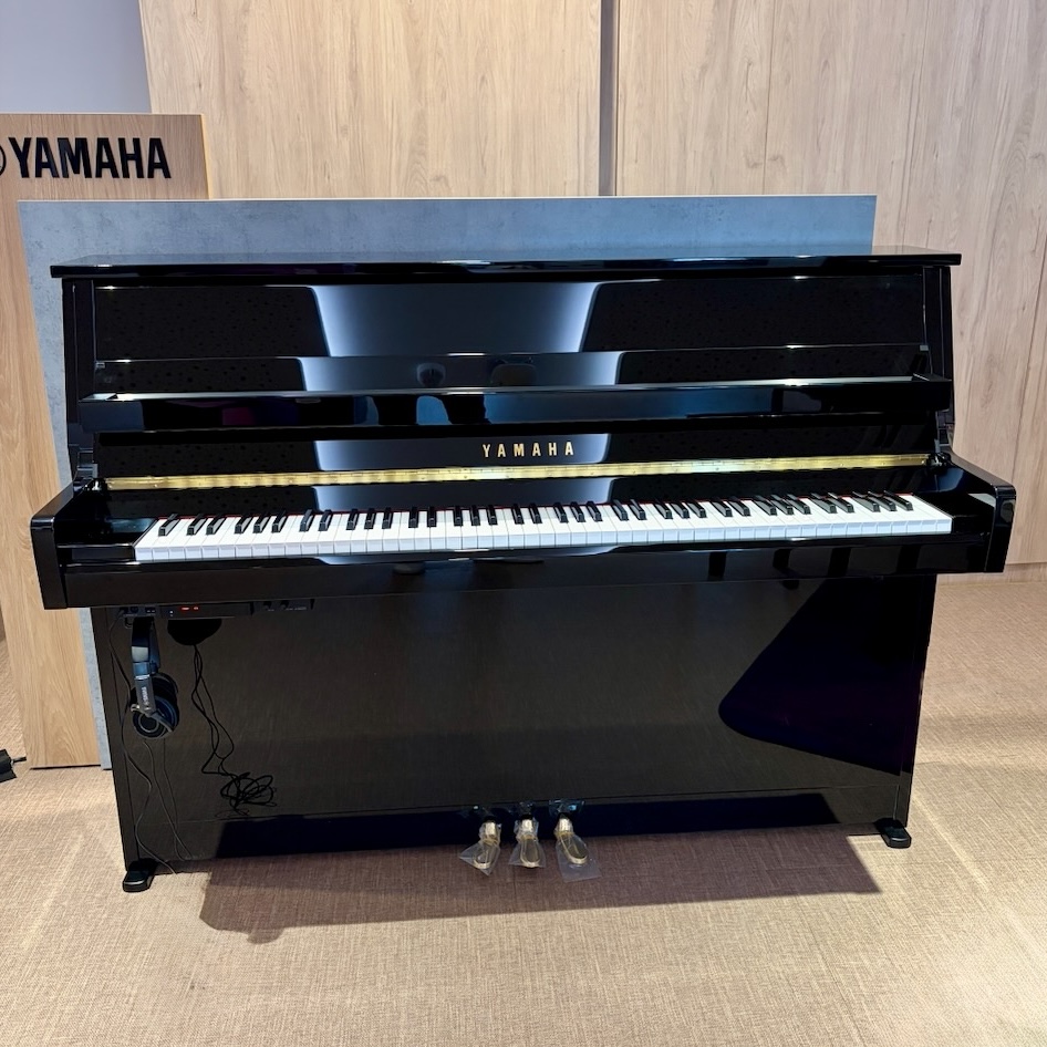 Présentation Yamaha B10